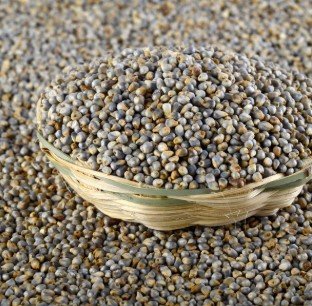 Sajjalu(Bajra) Millets